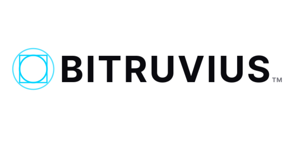 Bitruvius, Inc. logo